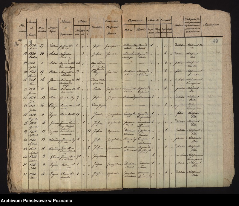 Obraz 13 z jednostki "Księga urodzeń, małżeństw i zgonów"