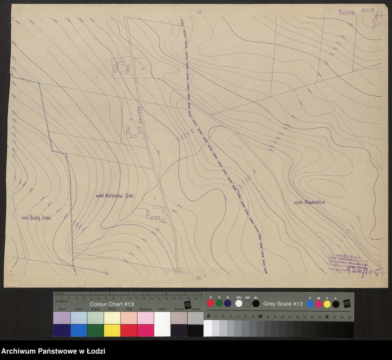 Obraz 1 z jednostki "Plan miasta Łodzi. Sekcja NO 37"
