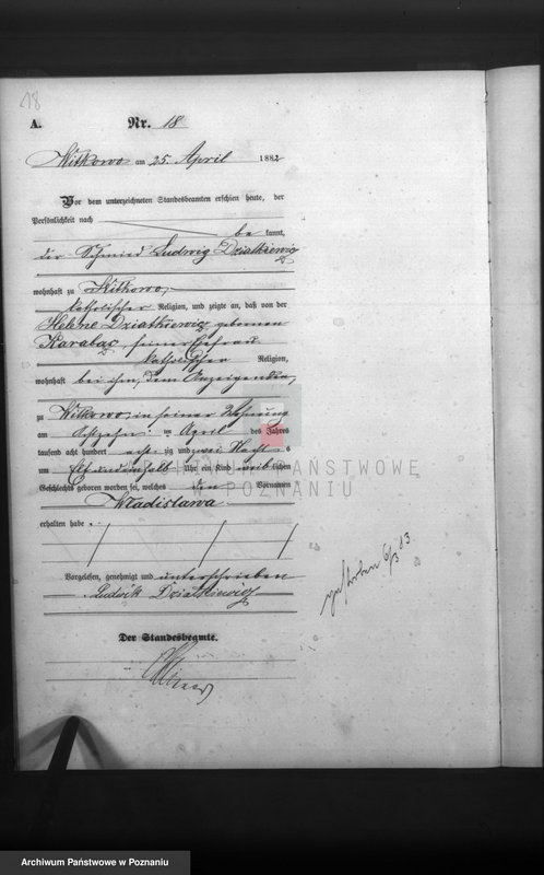 Obraz 20 z jednostki "Księga urodzeń"