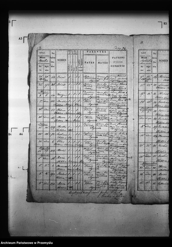 Obraz 6 z jednostki "[Kopie ksiąg metrykalnych parafii Zawadów (dekanat Niemirów)]"