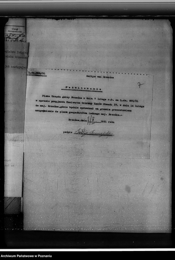 Obraz 11 z jednostki "Lasy majątku Brzeźno powiat koniński"