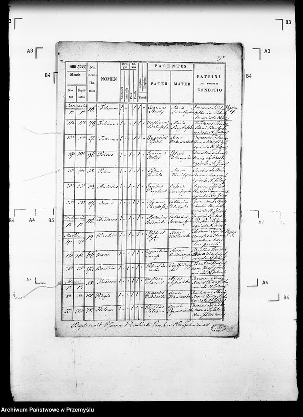 Obraz 8 z jednostki "[Kopie ksiąg metrykalnych parafii Jazów Nowy z filią Cetula (dekanat Jaworów)]"