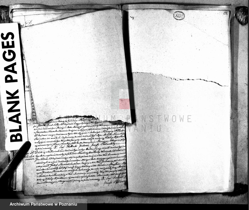 image.from.unit.number "Księga urodzeń, małżeństw i zgonu"