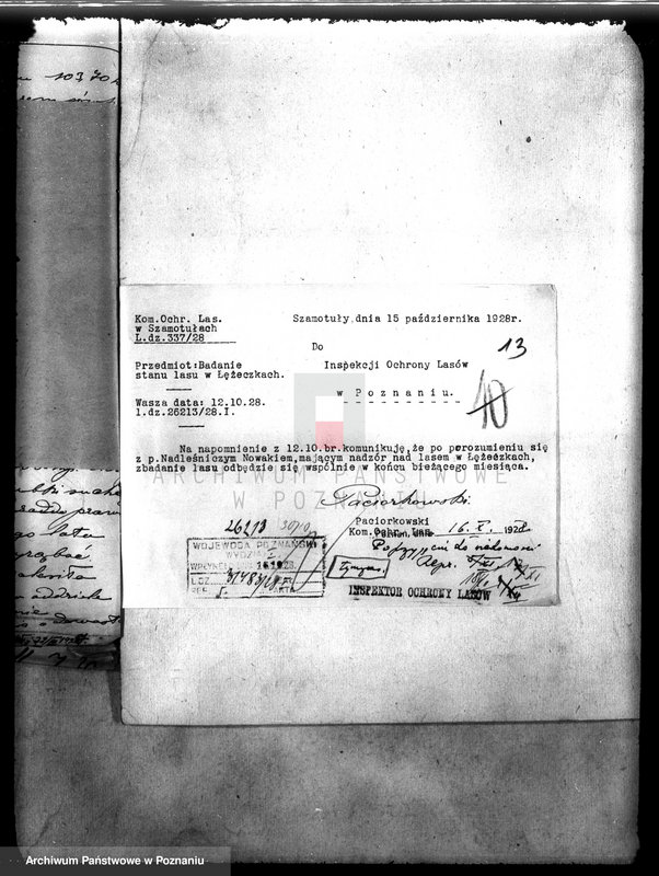 Obraz 17 z jednostki "Kościół katolicki Biezdrowo Łężeczki powiat międzychodzki /nadzór nad gospodarką leśną/"