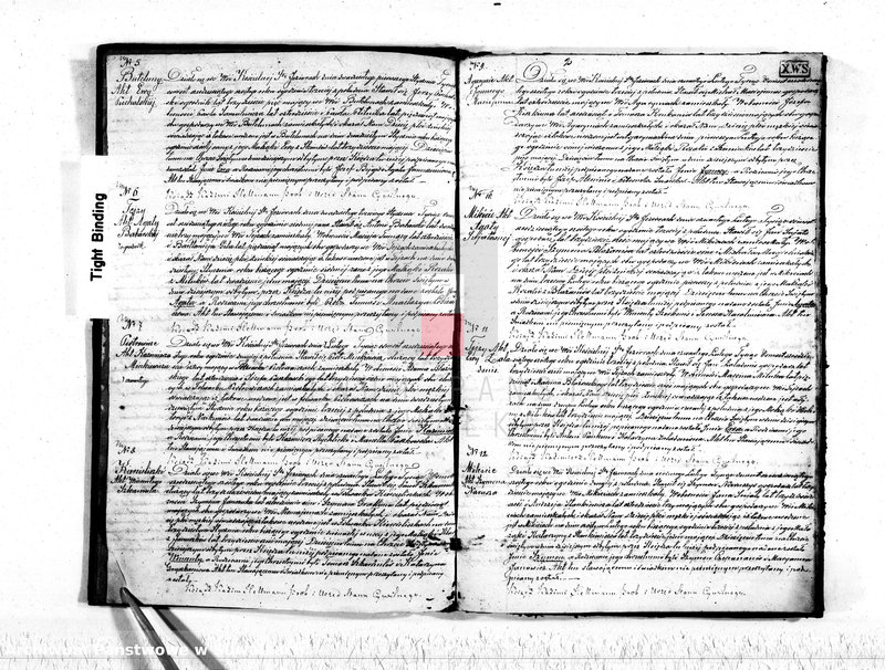Obraz 4 z jednostki "Akta stanu cywilnego parafij Św. Jeziorskiej urodzonych, zaślubionych i umarłych z roku 1866"