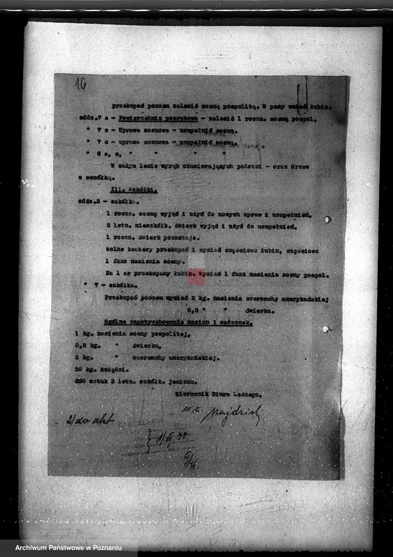 Obraz 20 z jednostki "Nadzór nad gospodarką w lasach Konarzewa powiatu rawickiego"