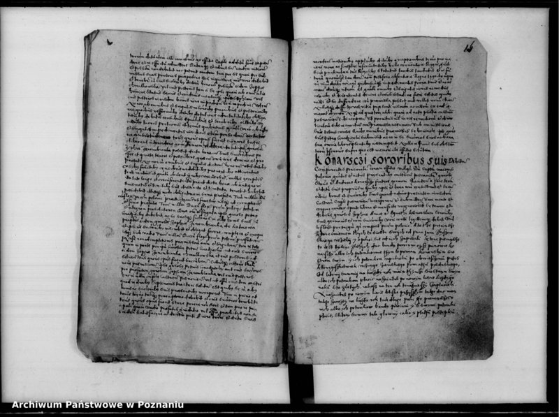 Obraz 18 z jednostki "Inscriptiones, relationes [inducta]"