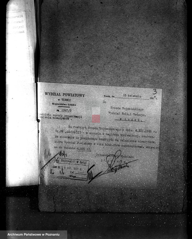 Obraz 7 z jednostki "Zalesienie nieużytków powiatu tureckiego"