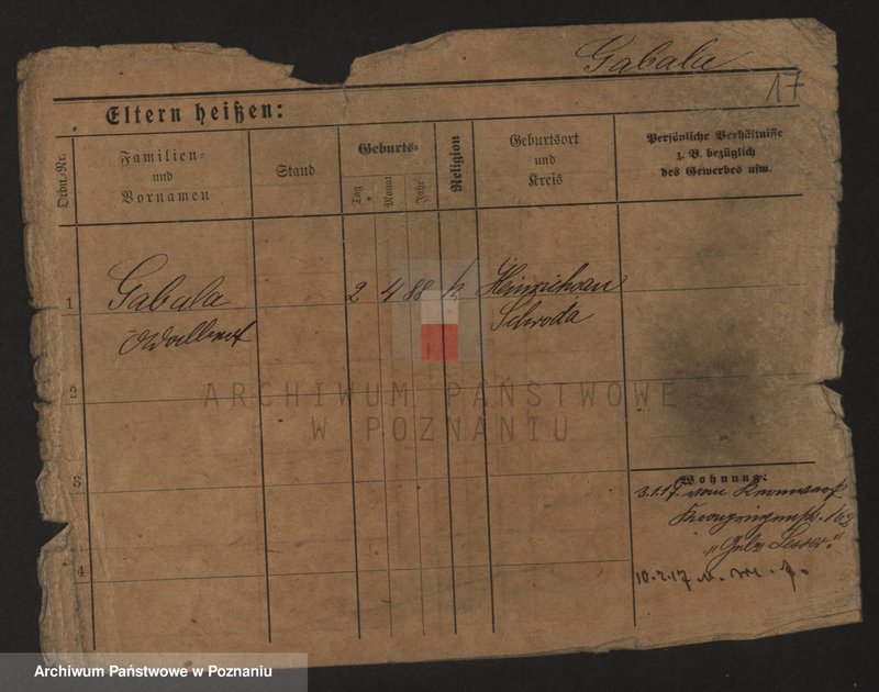 Obraz 19 z jednostki "Gaab - Gaciorkowski"