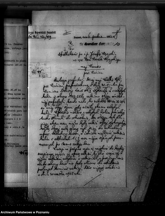 Obraz 14 z jednostki "Majętność /leśna/ Wielkie Łęki powiat kościański"