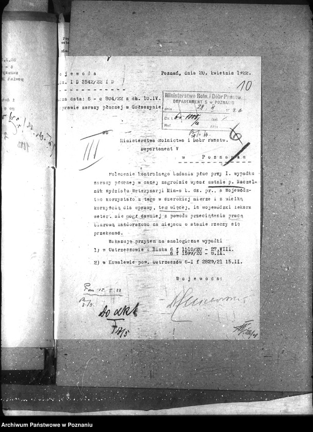 Obraz 14 z jednostki "Zaraza płucna - Rawicz"