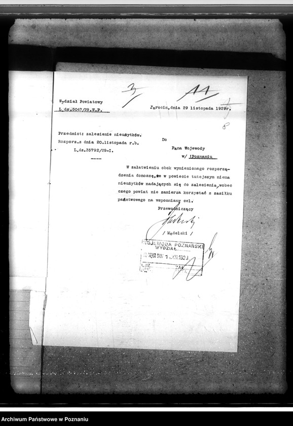 Obraz 13 z jednostki "Zalesienie nieużytków w powiecie jarocińskim"