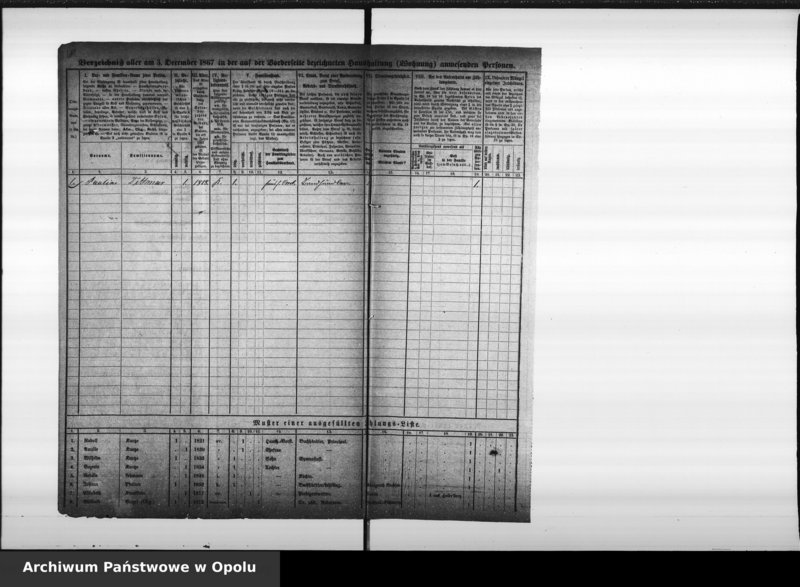 Obraz 20 z jednostki "[Okręg spisowy Nr 30. Spis ludności, 3 XII 1867]"
