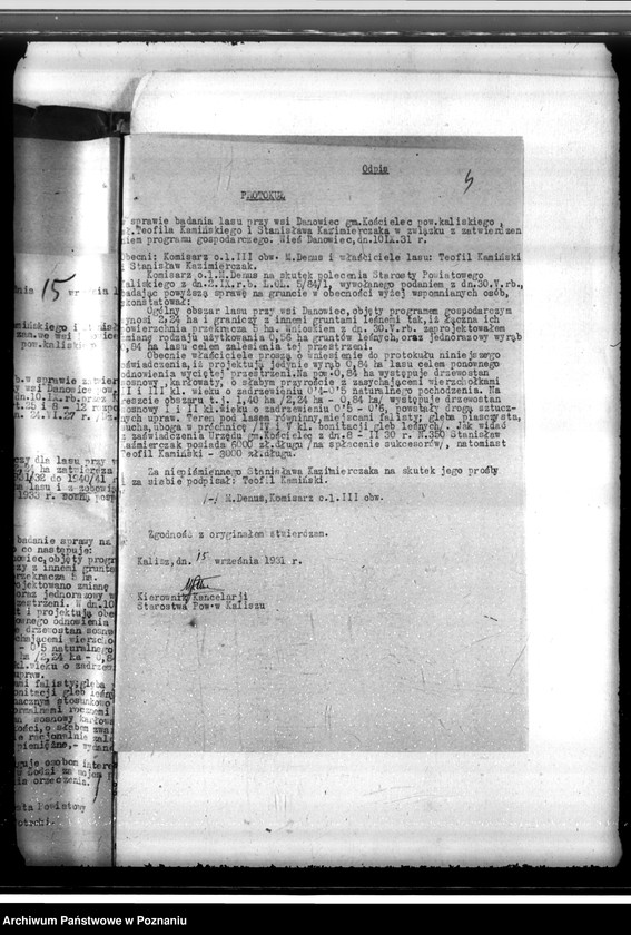 Obraz 8 z jednostki "Gmina Kościelec powiat kaliski /sprawy leśne/"