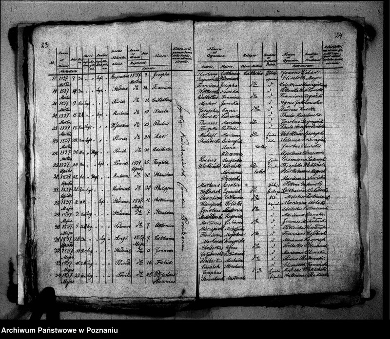 image.from.unit.number "Liber baptisatorum, copulatorum, mortuorum"