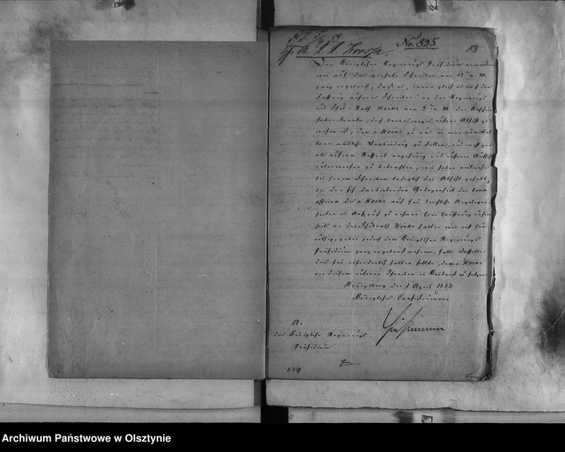image.from.unit.number "Regierungs und Schul-Rath Dr. Woike [Paul]"