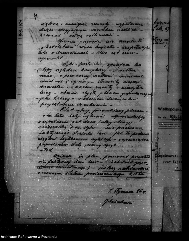 Obraz 8 z jednostki "Majętność /leśna/ Wielkie Łęki powiat kościański"