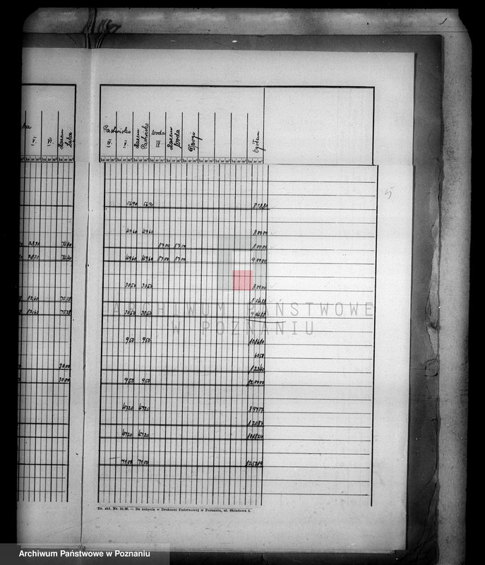 Obraz 9 z jednostki "Tymczasowy rejestr pomiarowy majątku Trzeboń powiatu wyrzyskiego"