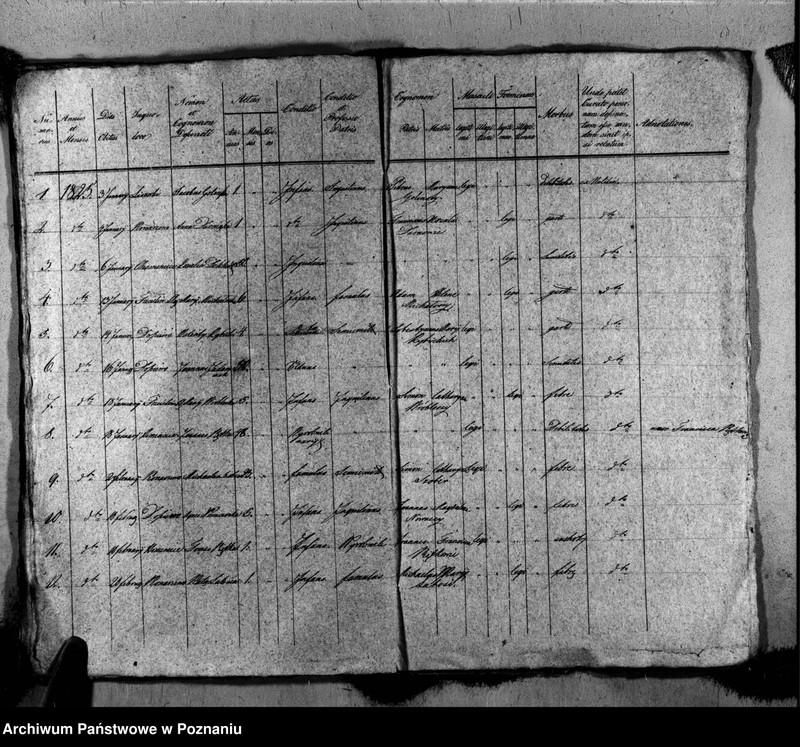 Obraz 16 z jednostki "Liber baptisatorum, copulatorum, mortuorum"