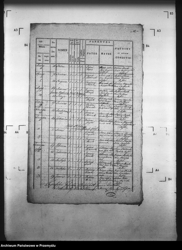 Obraz 16 z jednostki "[Kopie ksiąg metrykalnych parafii Trepcza (dekanat Sanok)]"