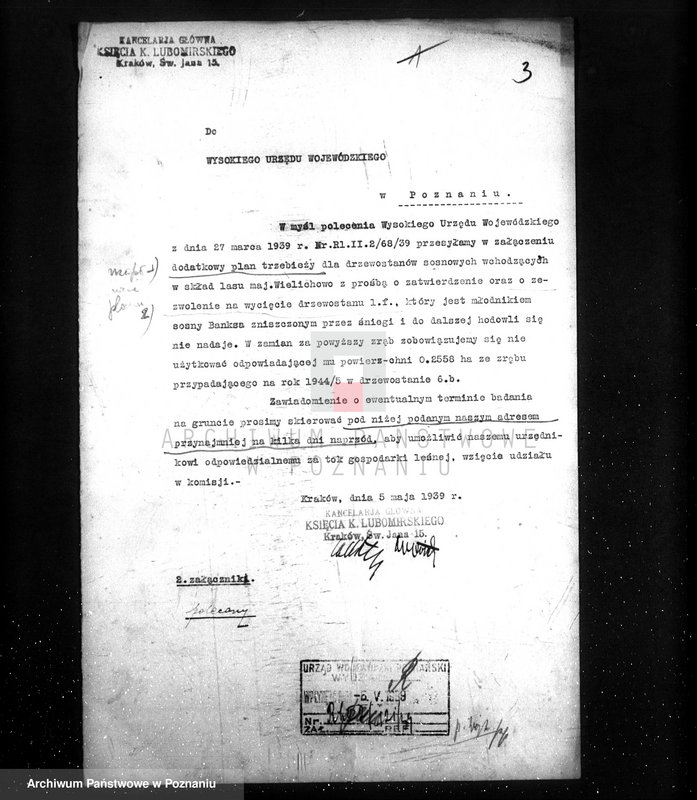 Obraz 7 z jednostki "/Las majątku Wielichowo/"