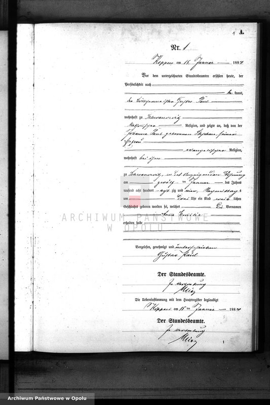 Obraz z jednostki "Geburts-Neben-Register Standes-Amt Koppen 1884"