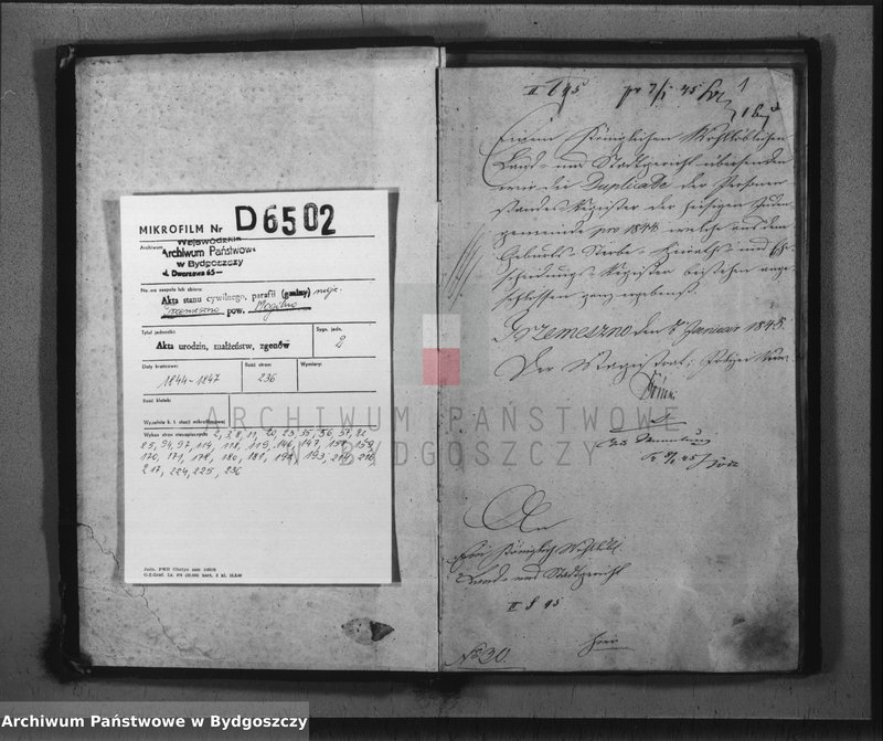 image.from.unit.number "Duplicate der Personen Standes Register der Juden Gemeinde zu Trzemeszno"