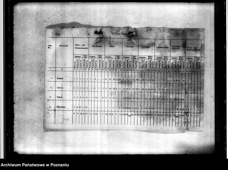 Obraz 10 z jednostki "Tierseuchenstand im Generalgouvernement"