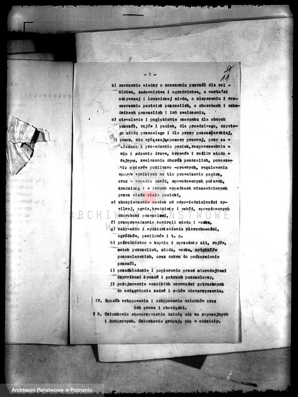 Obraz 15 z jednostki "Wielkopolski Związek Pszczelarski"