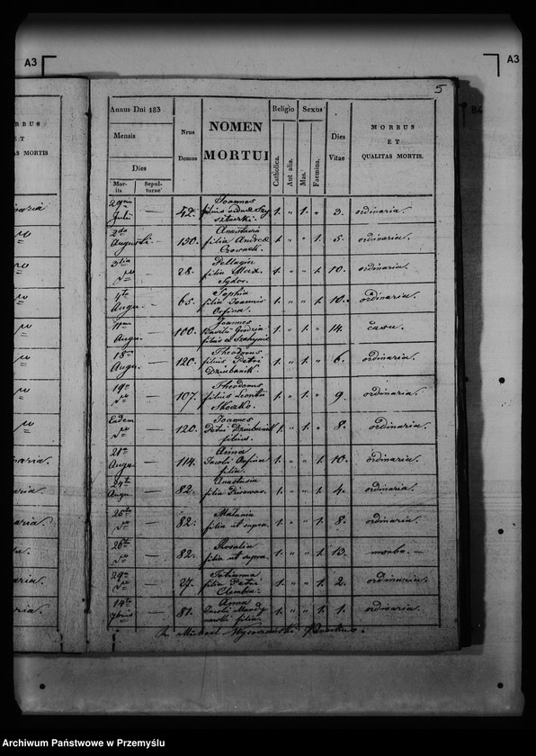 Obraz 12 z jednostki "[Kopie ksiąg metrykalnych parafii Buców (dekanat Medyka)]"