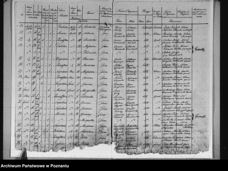 image.from.unit.number "Liber baptisatorum"