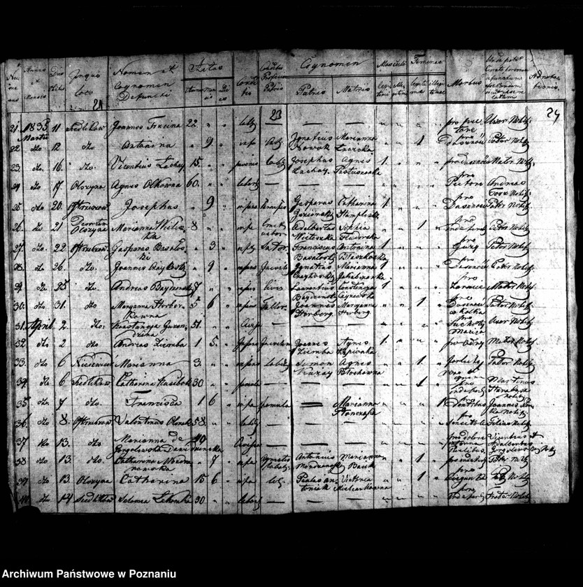 image.from.unit.number "Duplikat urodzonych, zmarłych, zaślubionych"