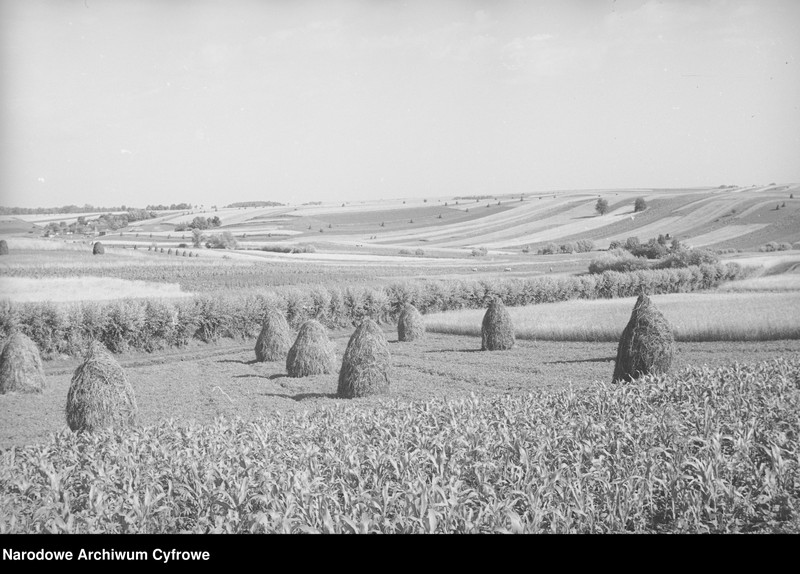 image.from.object.part1 image.from.object.part2