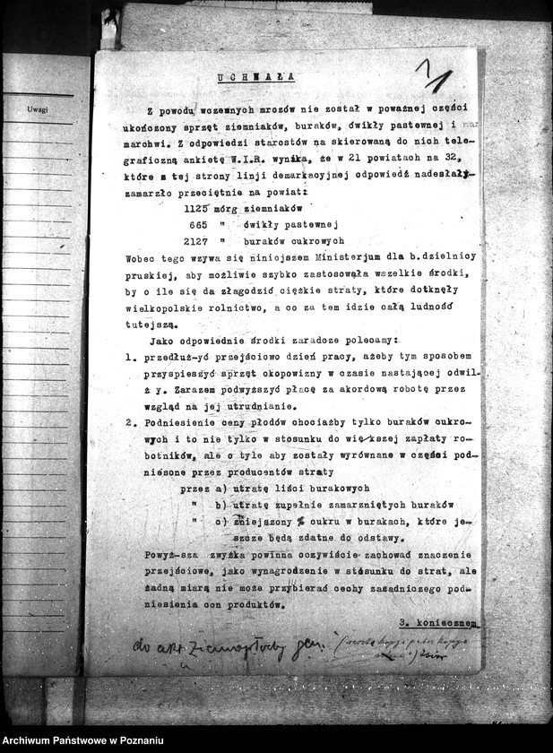 Obraz 5 z jednostki "Ziemiopłody - generalia"