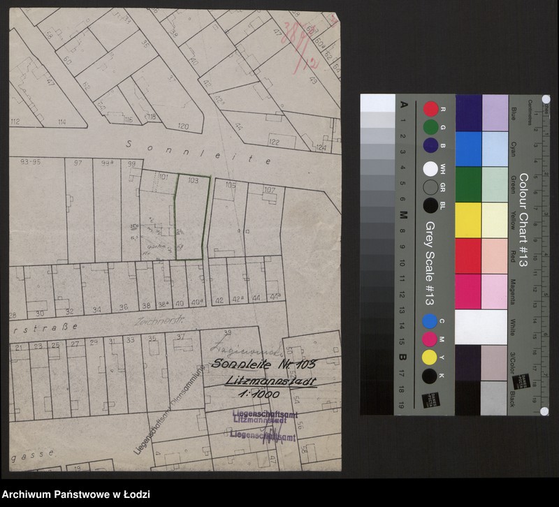 Obraz 1 z jednostki "Plan nieruchomości położonej przy ul. Łagiewnickiej 103 w Łodzi"