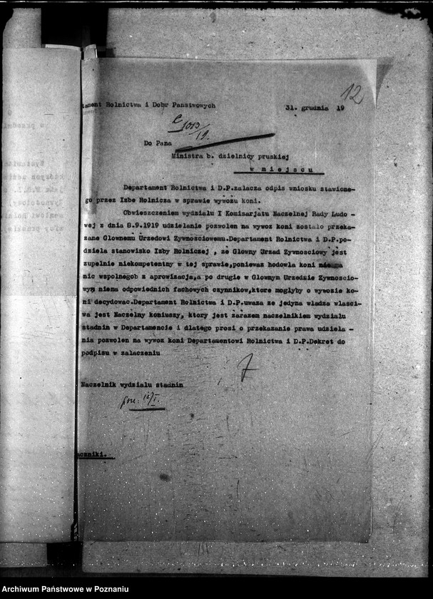 Obraz 17 z jednostki "Wywóz koni"