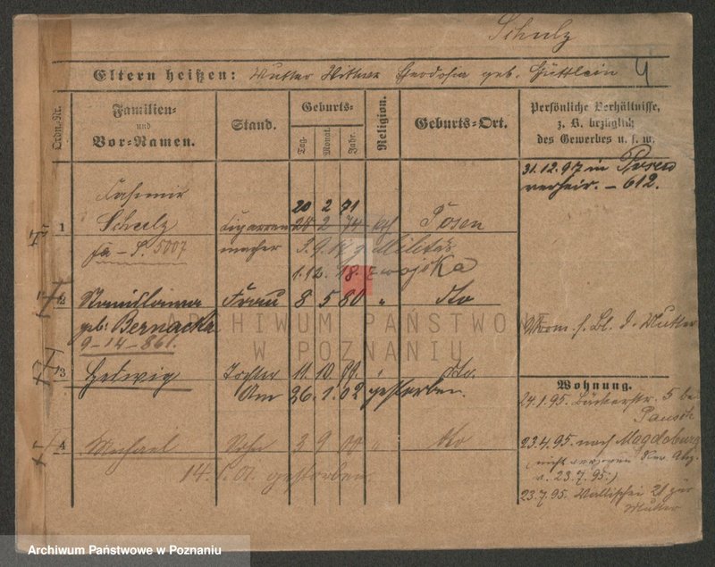 Obraz 11 z jednostki "Szulc (żonaci od Kazimierz do wdowy)"