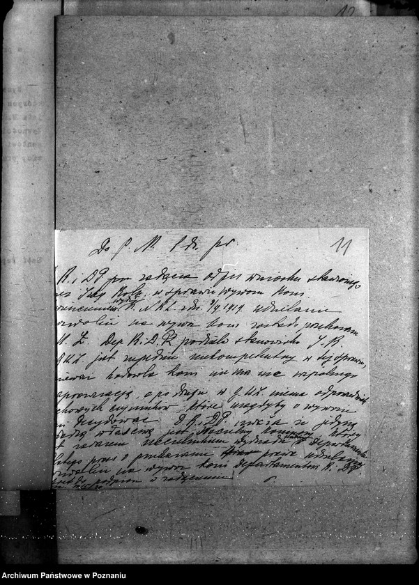 Obraz 16 z jednostki "Wywóz koni"