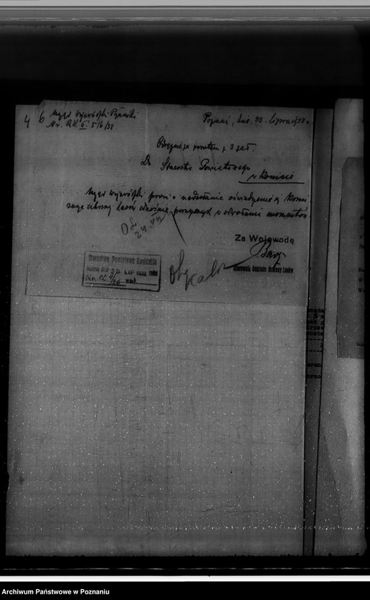 Obraz 10 z jednostki "Gmina Wymysłów powiat koniński /nadzór nad gospodarką leśną/"