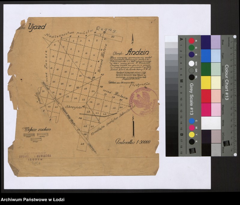 Obraz 1 z jednostki "Dobra Ujazd Obręb Andzin"