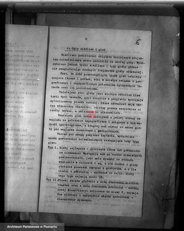 Obraz 14 z jednostki "Dodatkowy plan urządzenia gospodarstwa leśnego majątku Śródka powiat międzychodzki"