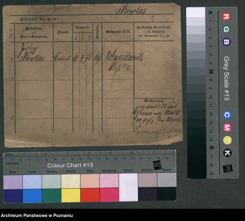 Obraz 3 z jednostki "Pawlas - Pawlicki"