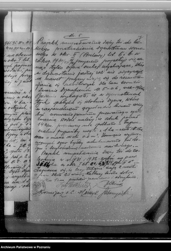 Obraz 11 z jednostki "Sprawa zatwierdzenia uzupełnienia planu gospodarstwa leśnego dla obciążonych służebnościami lasów majątku Biała-Królikowska powiatu konińskiego"