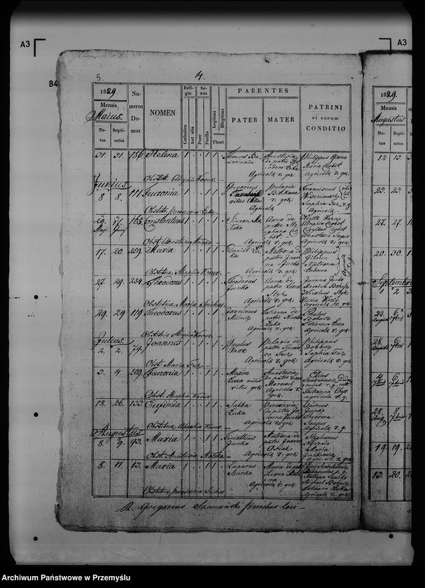 Obraz 9 z jednostki "[Kopie ksiąg metrykalnych parafii Dziewięcierz (dekanat Rawa Ruska)]"