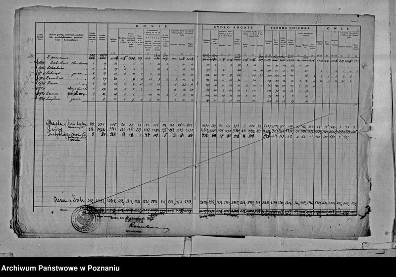 Obraz 17 z jednostki "Spis koni, bydła, trzody chlewnej i owiec - zestawienie z terenu powiatu średzkiego"