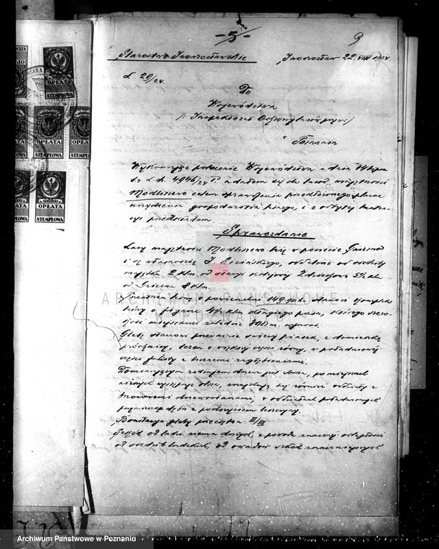 Obraz 12 z jednostki "Nadzór nad gospodarką w lasach majętności Modliszewo powiecie gnieźnieńskim"