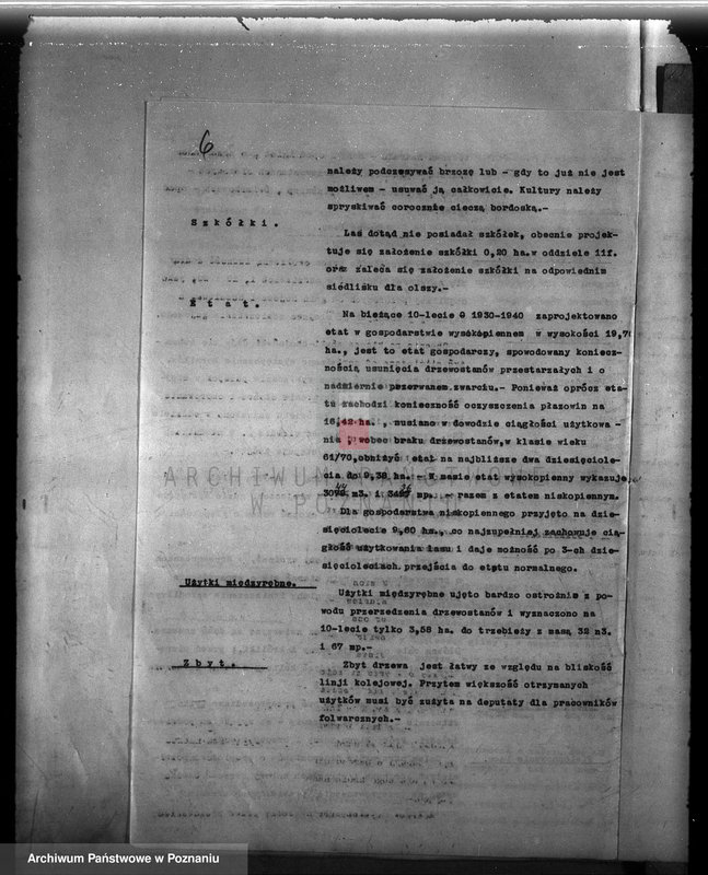 Obraz 10 z jednostki "Plan urządzenia gospodarstwa leśnego dla lasu majętności Śródka w powiecie międzychodzkim 1930-1940"