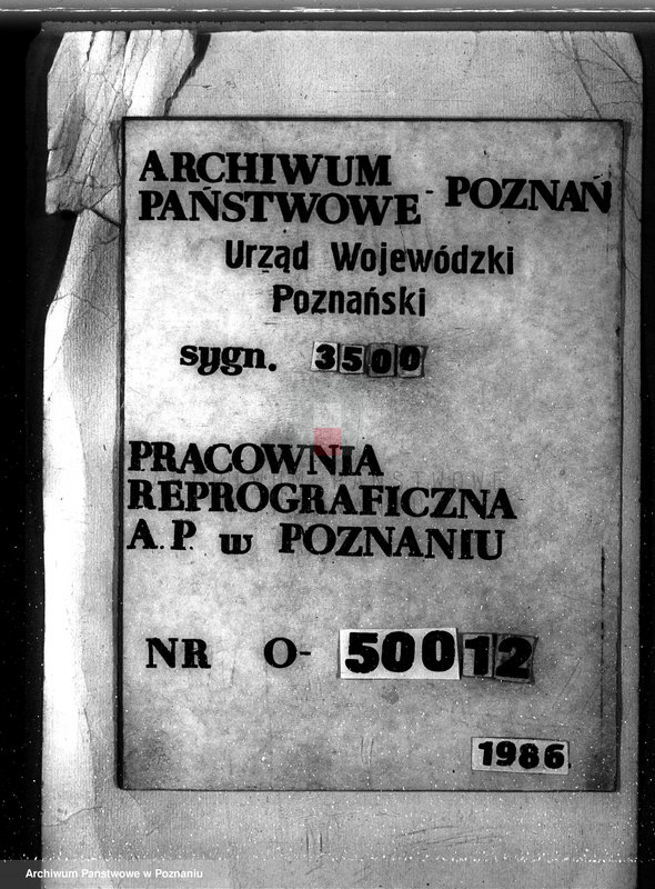 Obraz 1 z jednostki "Majętność leśna w Parzęcinie powiat kościański"