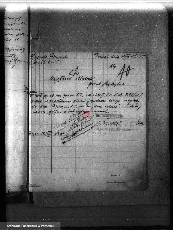 Obraz 19 z jednostki "Majętność leśna Mniszki w powiecie międzychodzkim"