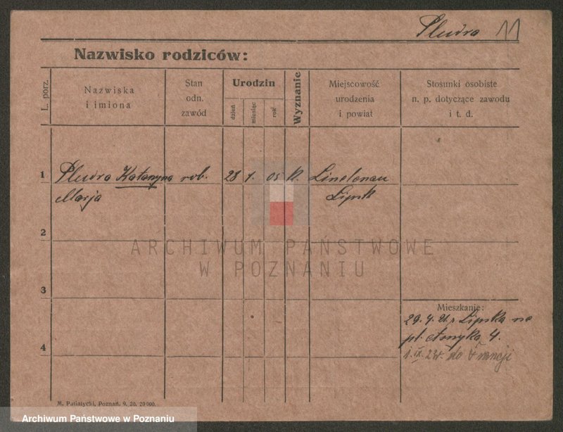 Obraz 11 z jednostki "Płudowski - Poczwardowski"